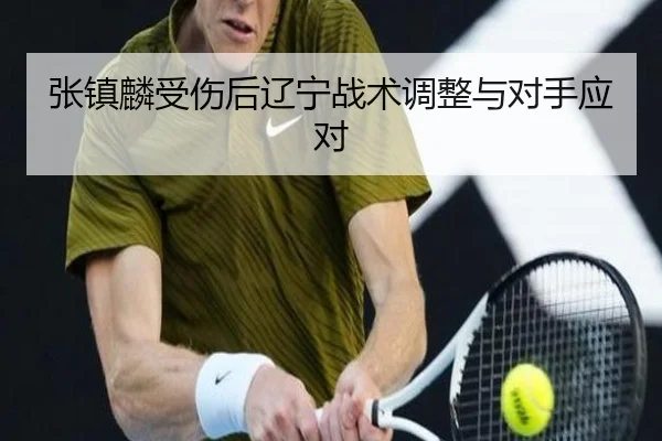 张镇麟受伤后辽宁战术调整与对手应对 - HAOMEN